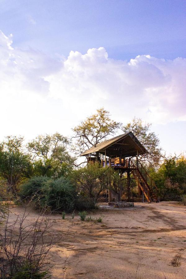 Ondudu Safari Lodge オマルル エクステリア 写真