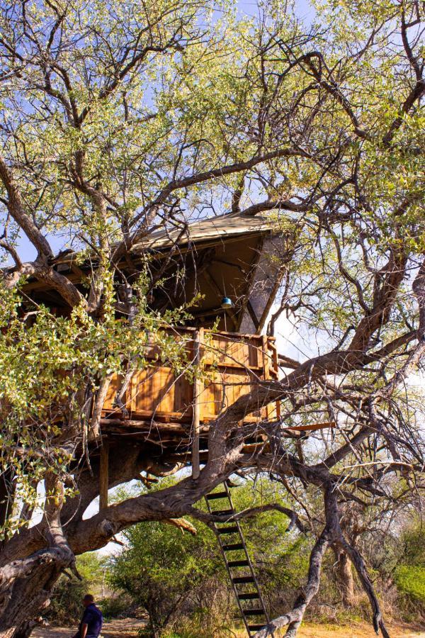 Ondudu Safari Lodge オマルル エクステリア 写真