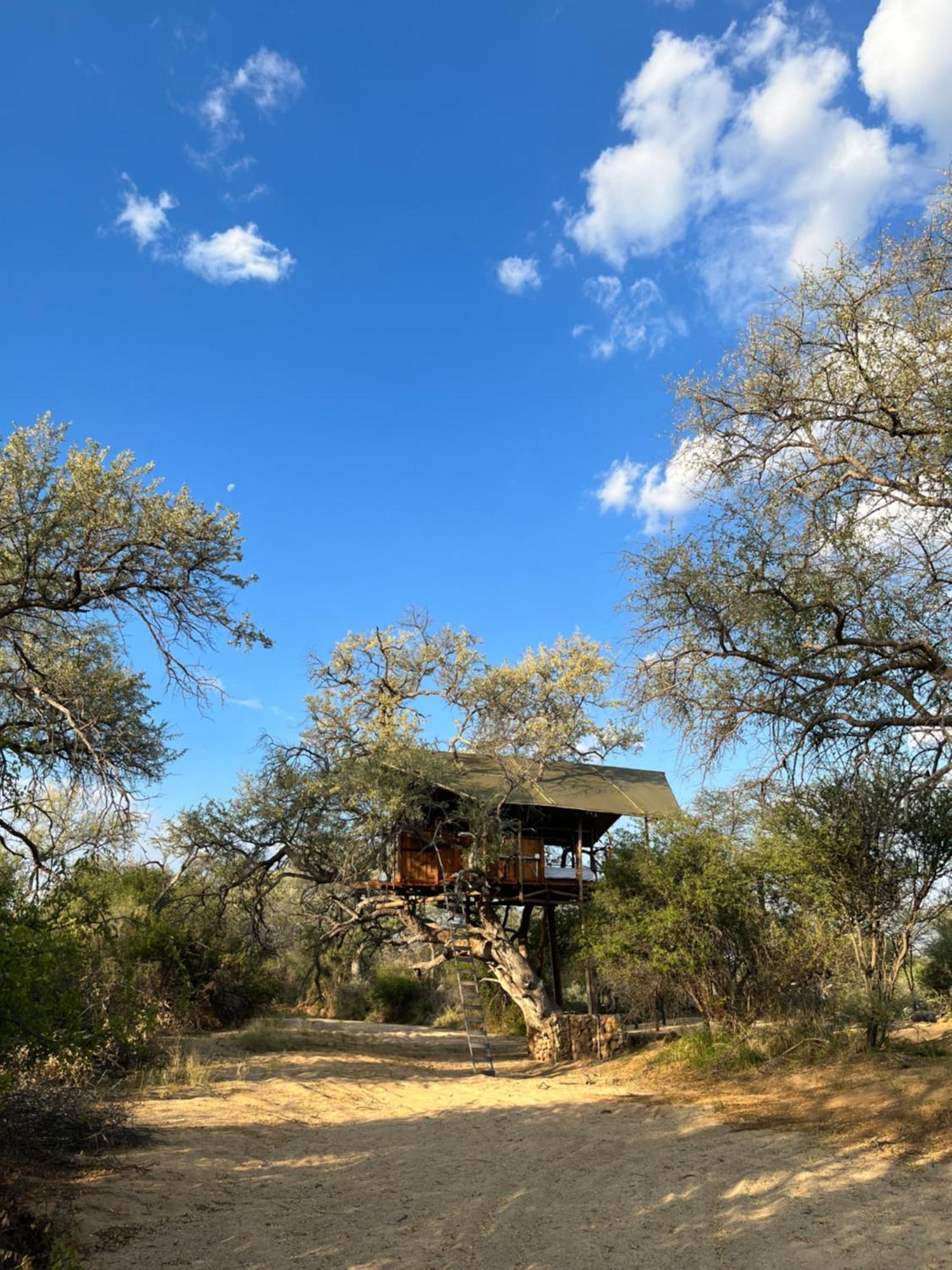 Ondudu Safari Lodge オマルル エクステリア 写真